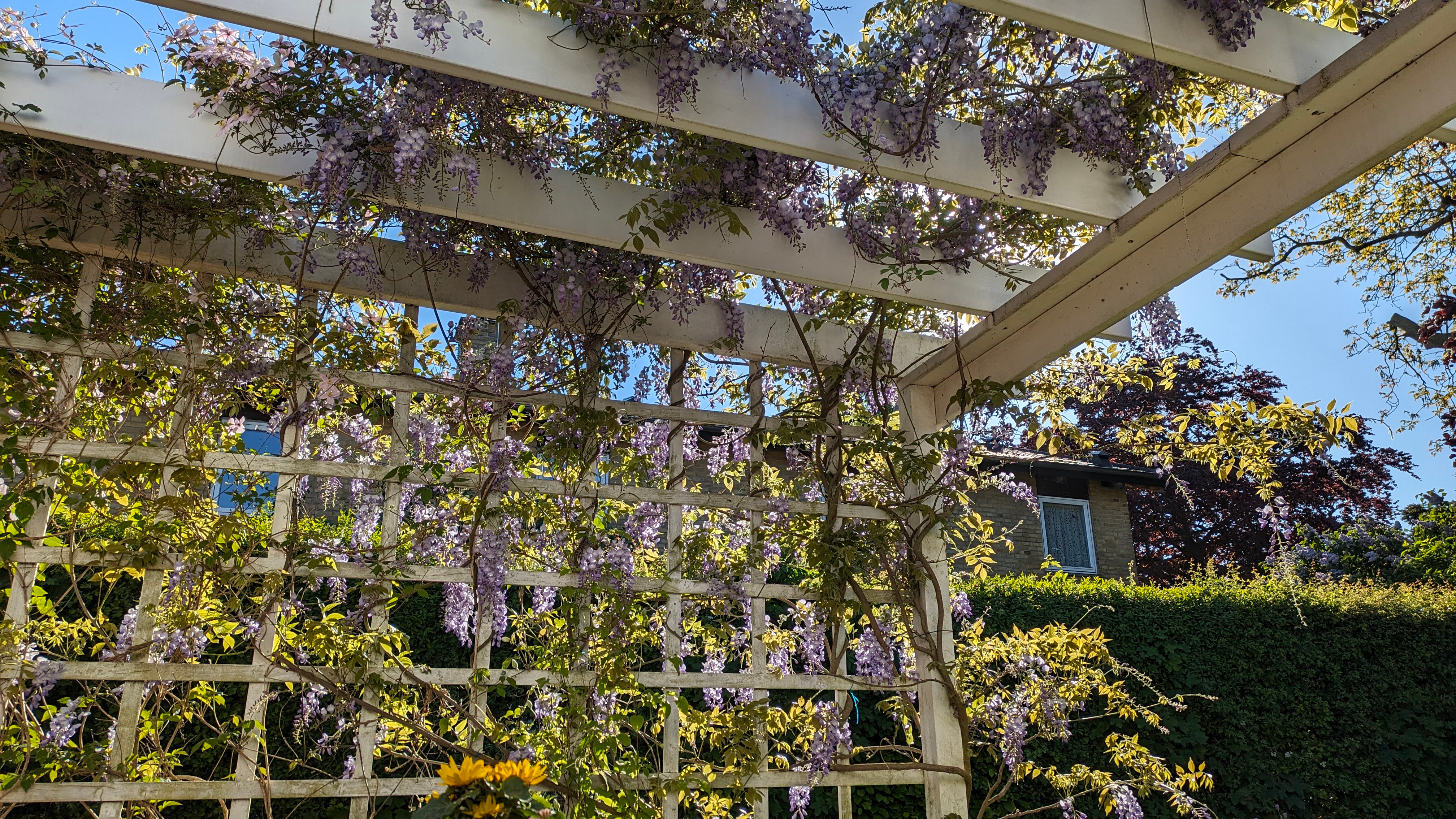 More than code activity 13