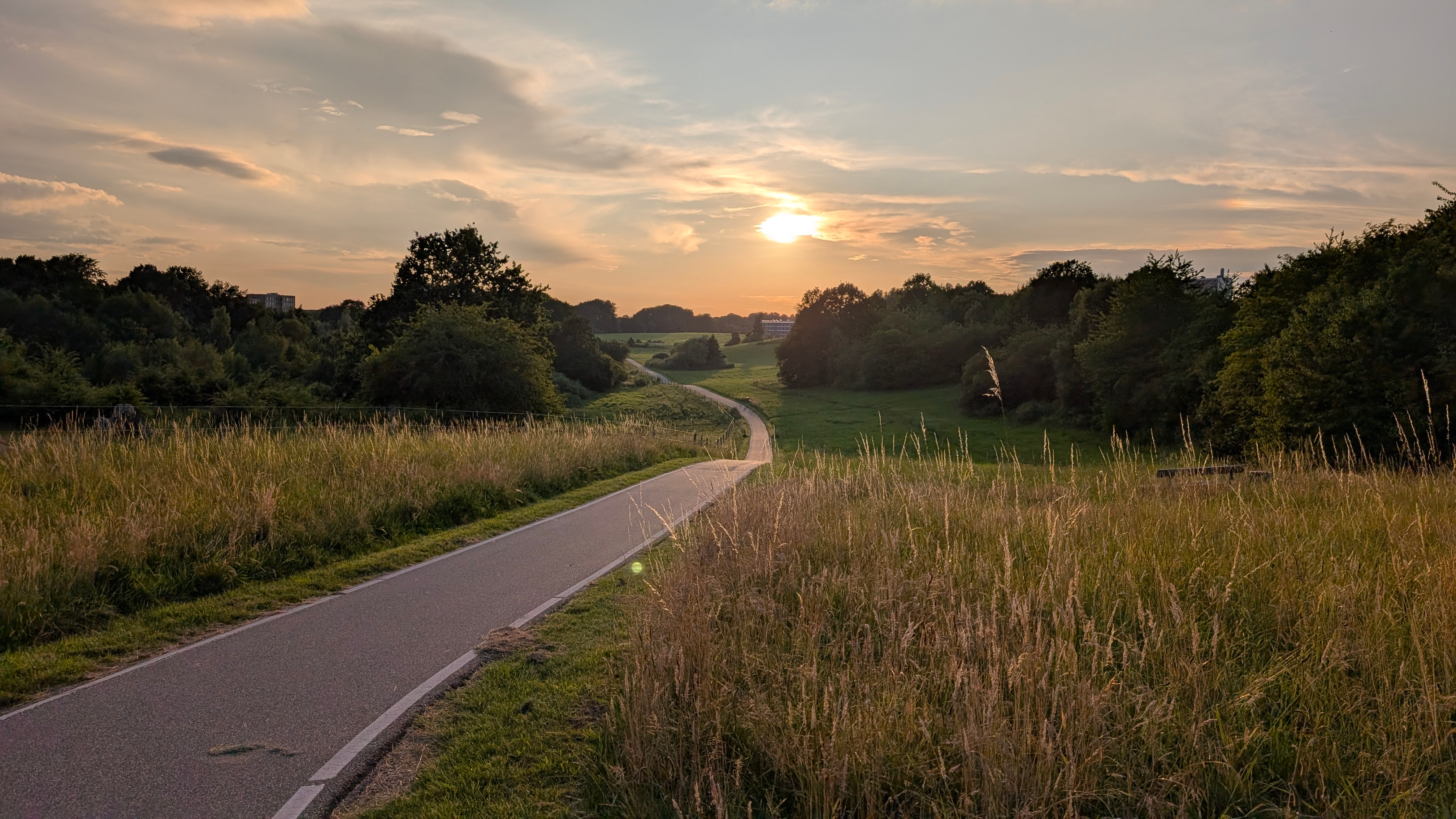 More than code activity 7