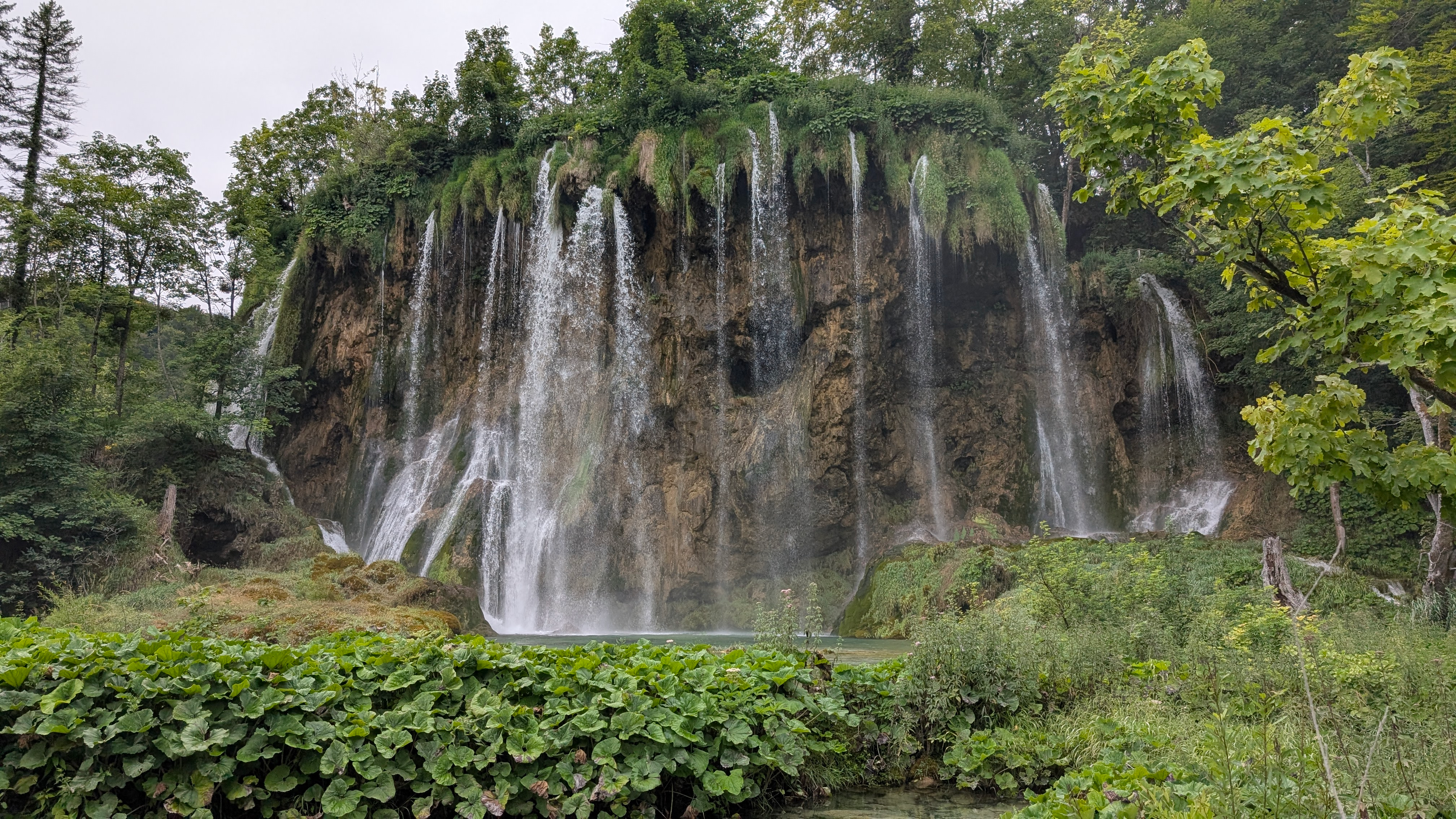 More than code activity 5